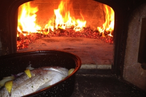 Fired Wood Fired Ovens 10